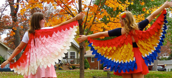 ovelha-fantasia-passaro-diy