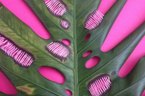 Detalhe da obra ‘Pink Intervention’, bordado em planta de Juliana Curi