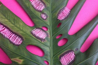 Detalhe da obra ‘Pink Intervention’, bordado em planta de Juliana Curi