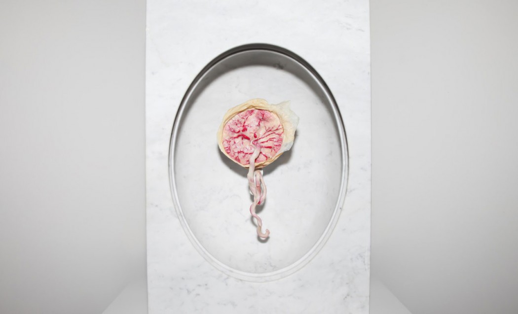 A placenta da artista Zoë Buckman na exposição 'Present Life' (2015)