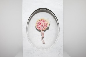 A placenta da artista Zoë Buckman na exposição 'Present Life' (2015)