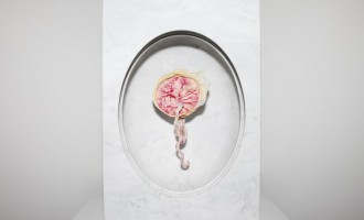 A placenta da artista Zoë Buckman na exposição 'Present Life' (2015)