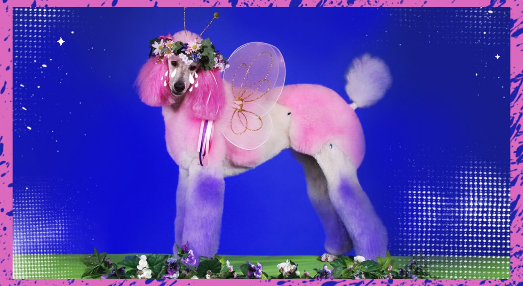 Maquiagem? Só #crueltyfree