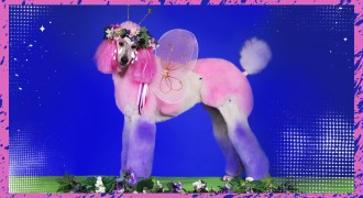 Maquiagem? Só #crueltyfree