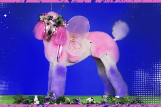 Maquiagem? Só #crueltyfree