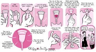 Oh Joy Sex Toy, por Erika Moen | Ovelha