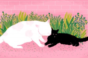 Mãe gata | Ilustração por Bárbara Malagoli para a Ovelha