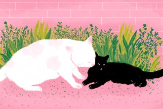 Mãe gata | Ilustração por Bárbara Malagoli para a Ovelha