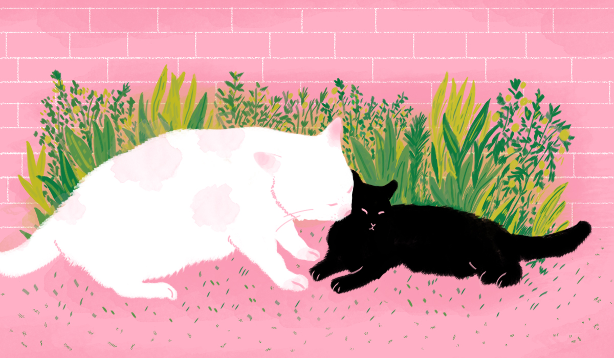 Mãe gata | Ilustração por Bárbara Malagoli para a Ovelha