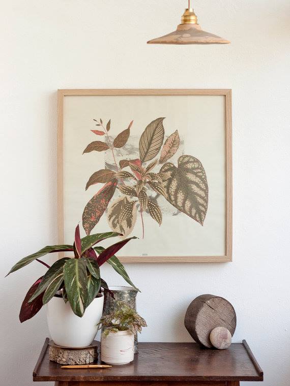 11209449_905049182892223_2154725727168534953_n