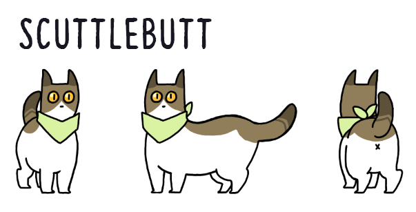 scuttlebutt-kelseygoldych