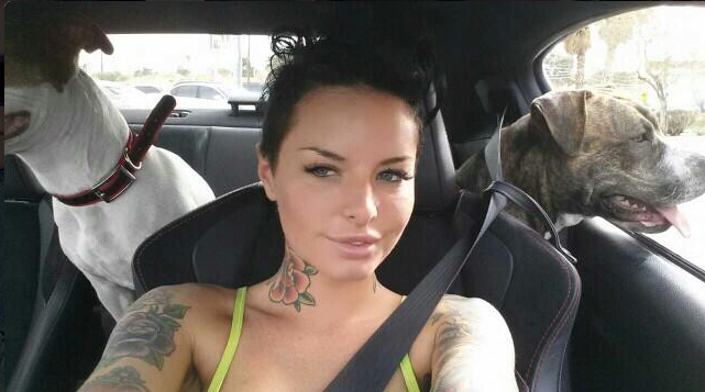 A atriz Christy Mack e seus pitbulls
