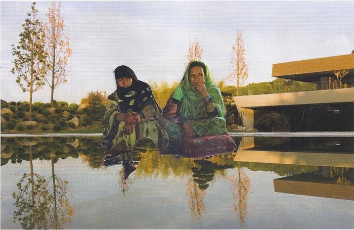 Colagem de Pauline Zenk