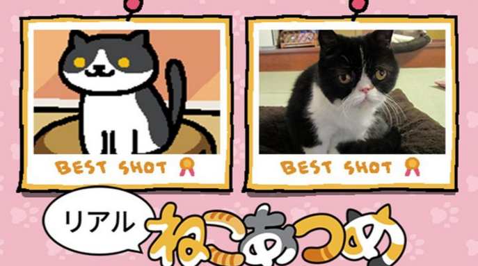 Screen Shot 2016-02-02 at 6.34.22 PM