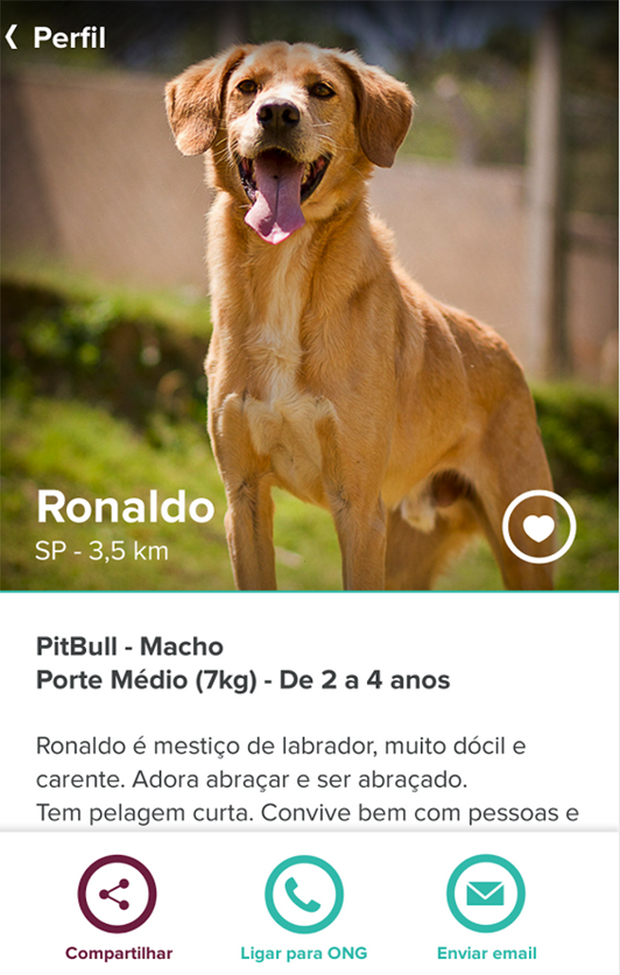 Au.dote-app-adoção-3