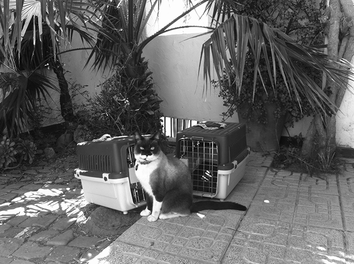 Fridinha mostrando com toda pompa, sua caixinha e de sua irmã, Miel