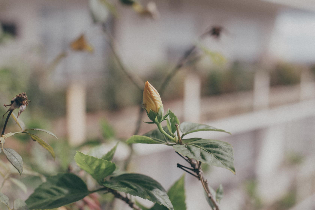 tumblr_oa2rc8aveu1ucwfngo1_1280