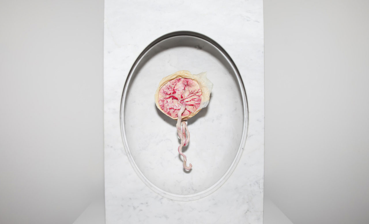 A placenta da artista Zoë Buckman na exposição 'Present Life' (2015)
